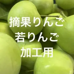 摘果りんご 若りんご 加工用約9kgのサムネイル