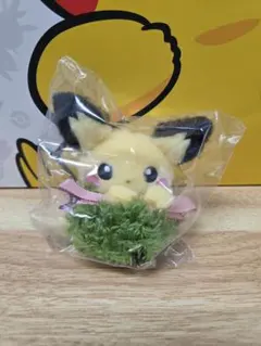韓国限定 ポケモン ポップアップ マスコット ヘアピン セット ピチュー