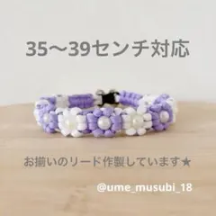 35〜39センチ　パステルカラー花交互首輪