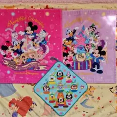 香港ディズニーランド タオル 3点セット