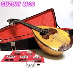 2026年最新】Suzuki マンドリンの人気アイテム - メルカリ