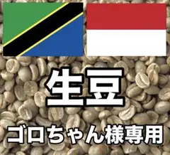 【ゴロちゃん様専用】コーヒー生豆2種類セット！　※送料無料