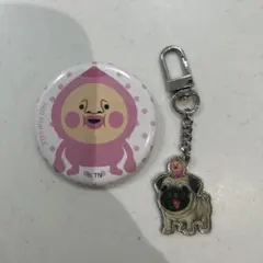こびとづかん 缶バッジ パグ キーホルダー 2点セット