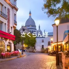 コメントご確認下さい さくらん様 リクエスト 3点 まとめ商品