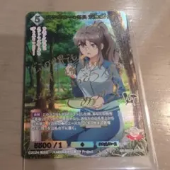 ビルディバイドブライト　特防隊の貧乏ムードメーカー 丸子楽BR ビルディバイドブライト 特防隊の貧乏ムードメーカー 丸子楽BR - メルカリ
