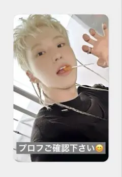 SEVENTEEN BEAM hoshi woozi サノク トレカ ホシ