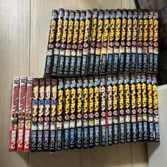 カメレオン漫画　セット