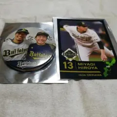 Item thumbnail for item 2103f05a-ba70-4409-a71a-e36848c3bce8