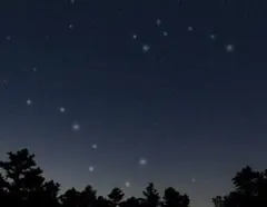 lune様 リクエスト 3点 まとめ商品