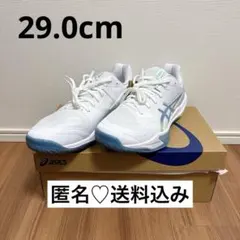 ASICS SKY ELITE FF 3 29.0cm 新品タグ付 バレーボール