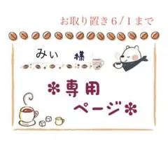 みぃ様 リクエスト 2点 まとめ商品