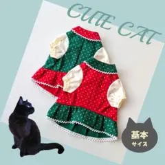 Item thumbnail for item ddacc550-dc25-426d-8cf2-335ef7237292