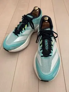 Item thumbnail for item 13acdbfd-4cd7-4b4f-b2ac-e3dd7d3d3acb