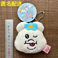 んぽちゃむ　ぬいぐるみミラー キーホルダー　しまむら　サンスター文具のサムネイル