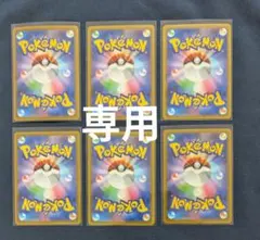 【雪丸様専用】
