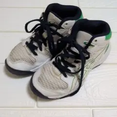 ASICS 　バッシュ　キッズ用　20cm