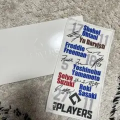 Item thumbnail for item e258e834-0a74-49df-8e11-141739a8f52d