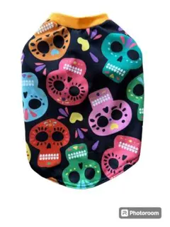 Item thumbnail for item 0d15a30c-b78d-43eb-b328-0c38e423215d