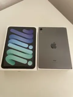 Apple iPad mini 第6世代 Wi-Fi 64GB バッテリー86%
