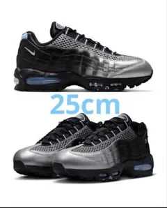 25.0cm】PALECE × NIKE AM95 - メルカリ