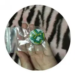 BP ELLY 缶バッチ