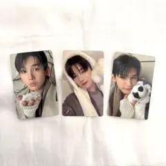 &team jo ふわふわアニマル 雪明かり トレカ セット