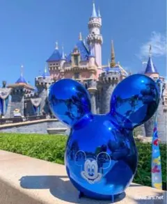 日本未発売 ディズニー ミッキー バルーン ポップコーンバケット