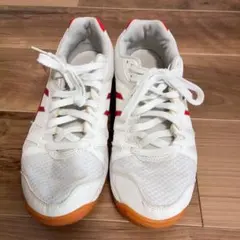 ASICSアシックス　TSY102 ホワイト/レッド スニーカー24.5cm39