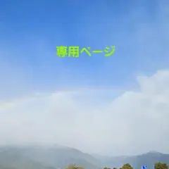 専用ページのご依頼お受け致しますm(_ _)m