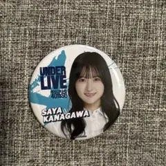 Item thumbnail for item 025694ac-6e04-4a07-8bbc-6b67be66c450