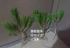 yuji wada様 リクエスト 3点 まとめ商品