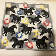 FEILER スプリントホース　グレー