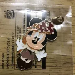 東京ディズニーランド非売品