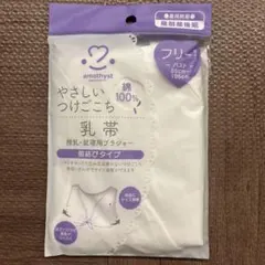 産前産後　インナー　やさしいつけごこち乳帯　授乳ブラ　就寝用ブラ
