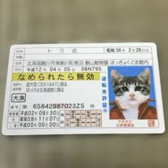 【なめ猫】運転免許証風 パロディカード トラ吉
