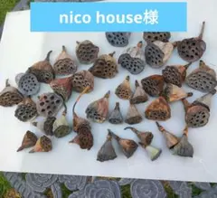 nico house様専用 　　　　　　　蓮の実　ヘッドのみ