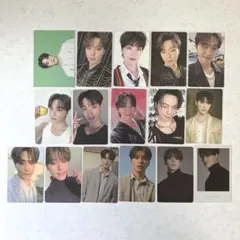 SEVENTEEN 디노