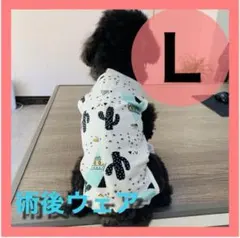 Item thumbnail for item 378dfc87-ebb2-4aa1-873a-409c75e678b2