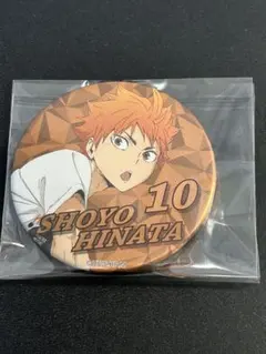 ハイキュー!! 日向翔陽 ファンパーク 合同練習会 缶バッジ 2020