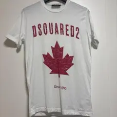 DSQUARED2 2020年モデル。1〜2回着用。メープルリーフ 。Sサイズ 