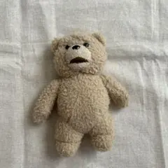 ted ぬいぐるみ