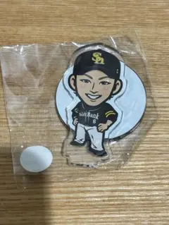 若鷹ガチャ　今宮　まとめ売り　缶バッジ　アクスタ　アクキー 2025年最新】若鷹ガチャ 今宮の人気アイテム - メルカリ