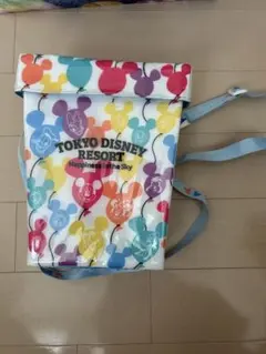東京ディズニーリゾート ポップコーンバケット