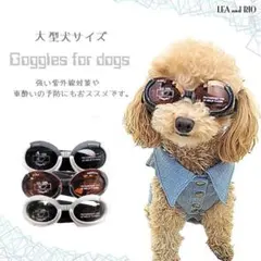 ゴーグル UV100％カット ドグルズ 大型犬 犬 猫 ペット アクセYD130