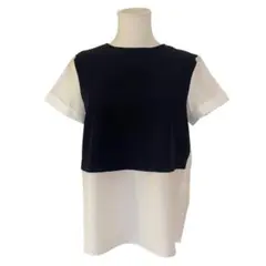 Item thumbnail for item 6948966a-b3e6-4980-85ac-63c61fb20d5d