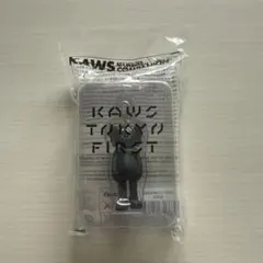 本物 KAWS コンパニオン キーホルダー シュプリーム Tシャツ Tokyo