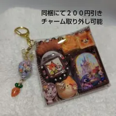ガチャ詰めポーチ②のサムネイル
