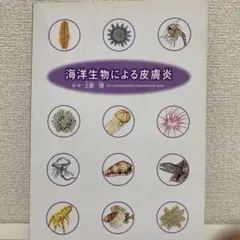 Item thumbnail for item 70e79b6c-dcf1-4bb8-a0f8-e116d257704d