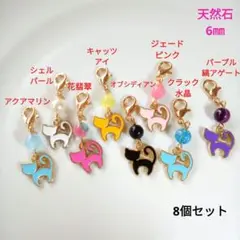 カラフル猫チャーム 8個セット