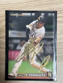 Item thumbnail for item 0e0121fd-1582-4668-8b14-d07ba79a7724